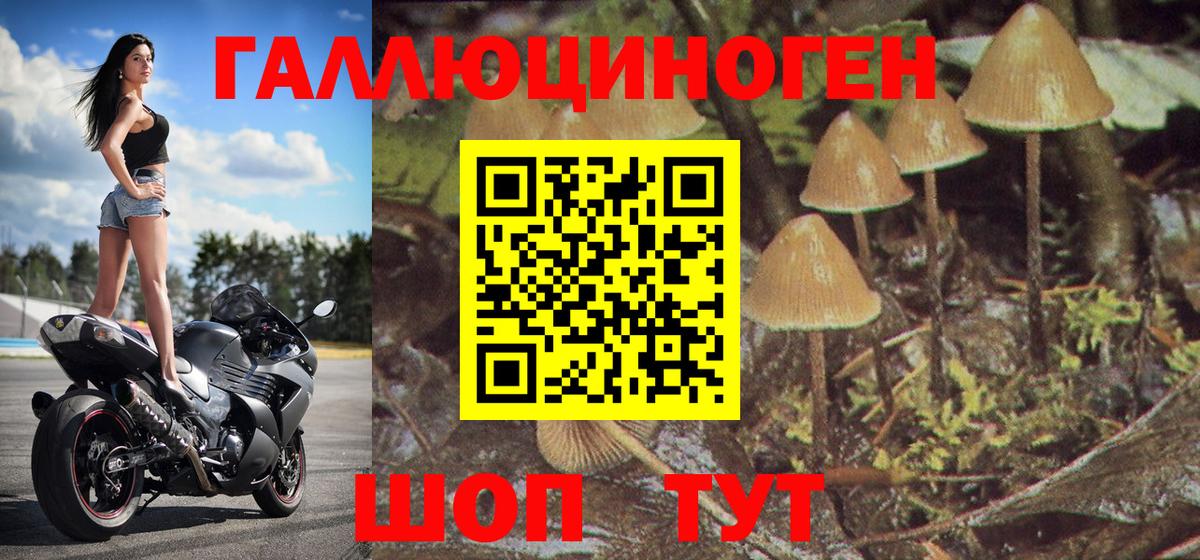 Псилоцибиновые грибы мухоморы Маркс